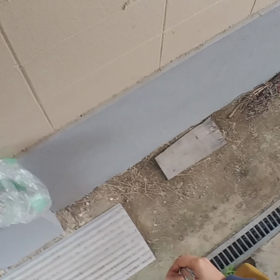 つばめの観察日記34日目(^-^)の画像