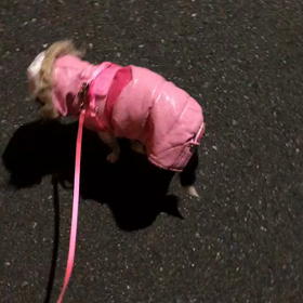 お休み期間終了しての画像