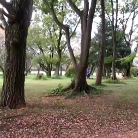 400インターバル中間点③の画像