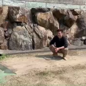 おおい大輔！の画像