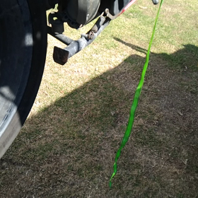 注目が集まる車の画像