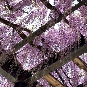 KIN229　赤い月　白い風　音8の画像