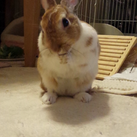 ねんね 前のの画像