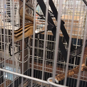 ジョイホンパーク吉岡の画像