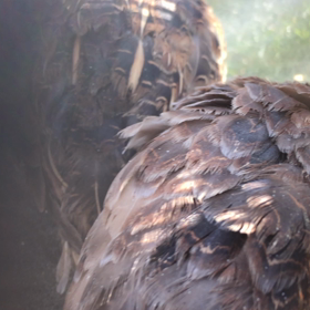 穏やかな日々の画像