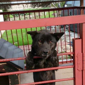 動画祭り(#^.^#)の画像