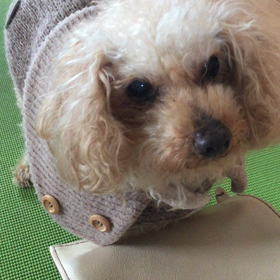 お食事風景の画像