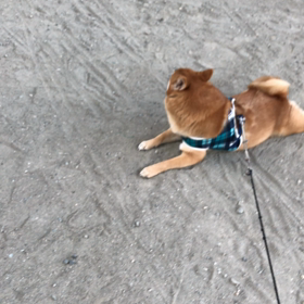 座り込みの画像