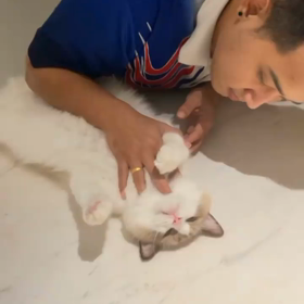 20210712 Bright IGSの画像