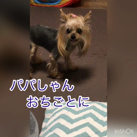 パパっ子の画像