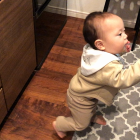 今日のうたくんの画像