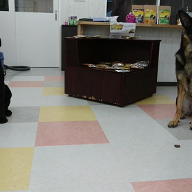 待て対決(笑)( ￣▽￣)の画像