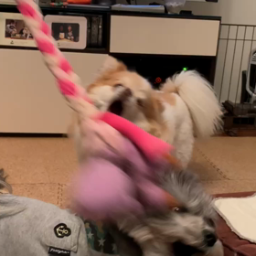 釣れるかな？の画像