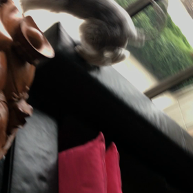 ボール遊びの画像