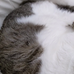 長男大吉が爆睡すると………イビキが……の画像