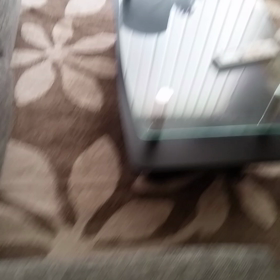 *カーテンの隙間から・・・*の画像