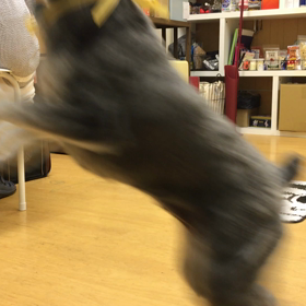 ほんっと文句さえなきゃなぁ。の画像