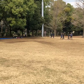 混合リレー バトン練習⑦の画像