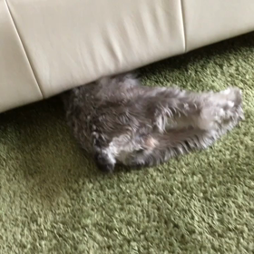 何してるの？の画像