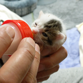 年末に向けて、忙しぃ。の画像