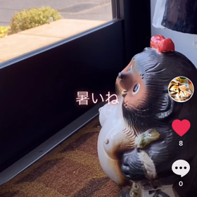 頑張るソイルちゃんの画像