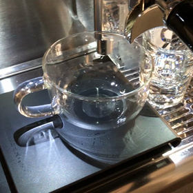 本日の抽出の画像