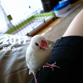 盆休み中の画像