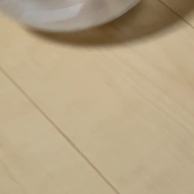 ハムちゃん日記の画像