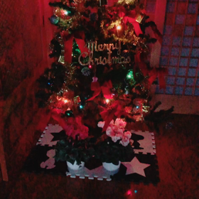 クリスマスの支度の画像