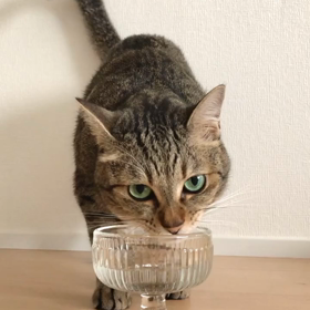 久しぶりに。の画像
