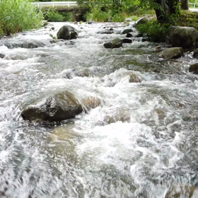 昨日事故りました。【DJI MINI 2】の画像