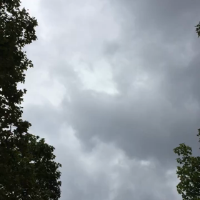 7月14日に備えての予行演習飛行の画像