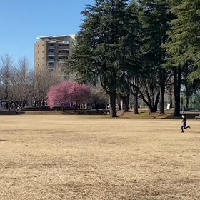 特別練習 B 学年別インターバル⑦の画像