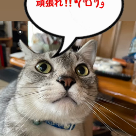 2回目の抗がん剤治療開始の画像