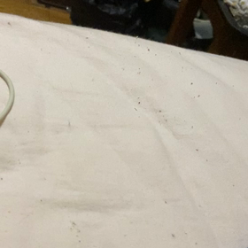 椎名林檎、ホンノー、の画像