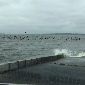 【霞ヶ浦...結果♪】の画像