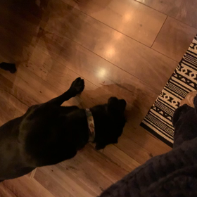 何だかもーやもやの画像