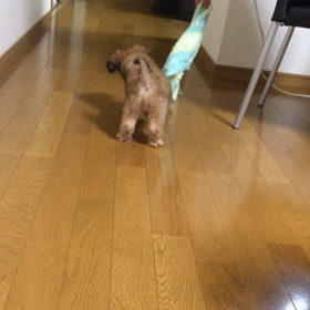 ♡台風♡の画像