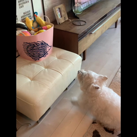 久々おもちゃ遊びの画像