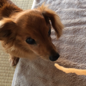 お気に入り♡の画像