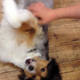 レナちゃんマリちゃんの画像