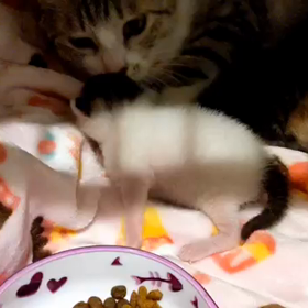 あの頃は・その１の画像