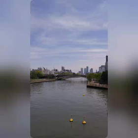 バラ@中之島公園の画像