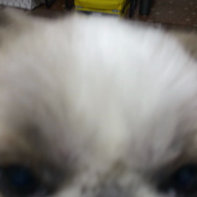 モヤモヤ延長戦に突入の画像