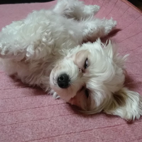 寝てる時に動画を撮っても、起きない時もあったの画像