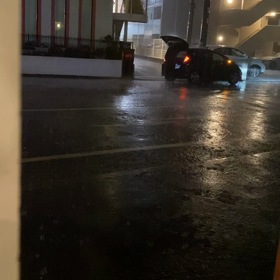 嵐　あらし　アラシの画像