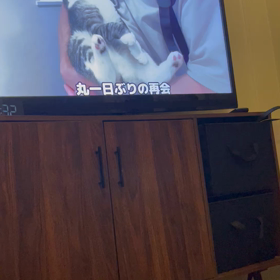 つまらない住宅地の全ての家　全話の画像