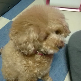 いらいら(笑)の画像