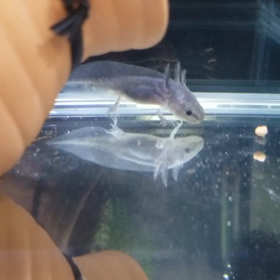 久しぶり❗の画像