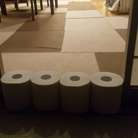 トイレットペーパーチャレンジの画像